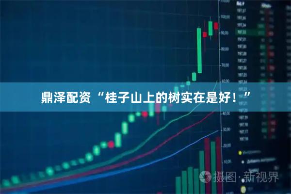 鼎泽配资 “桂子山上的树实在是好！”