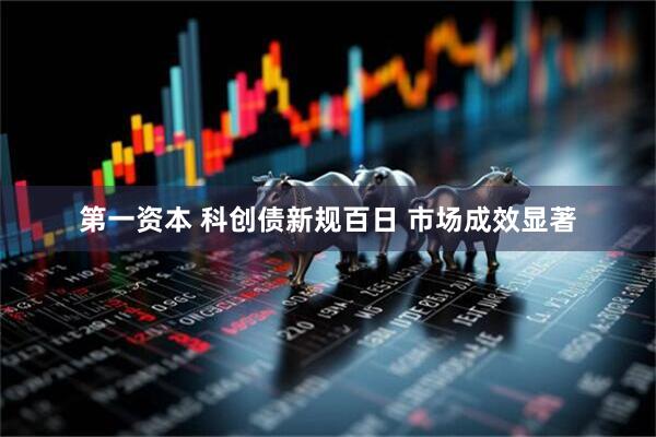 第一资本 科创债新规百日 市场成效显著