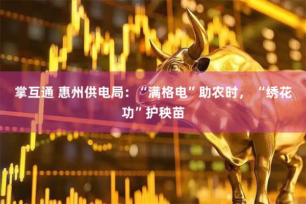 掌互通 惠州供电局：“满格电”助农时， “绣花功”护秧苗